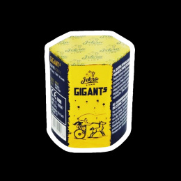 GIGANT 4 AC20-7-4