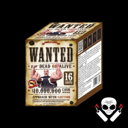 Wanted