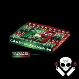 Crazy Screamer 2G ZB307